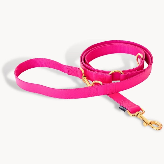 Riot Grwl Vegan Leash