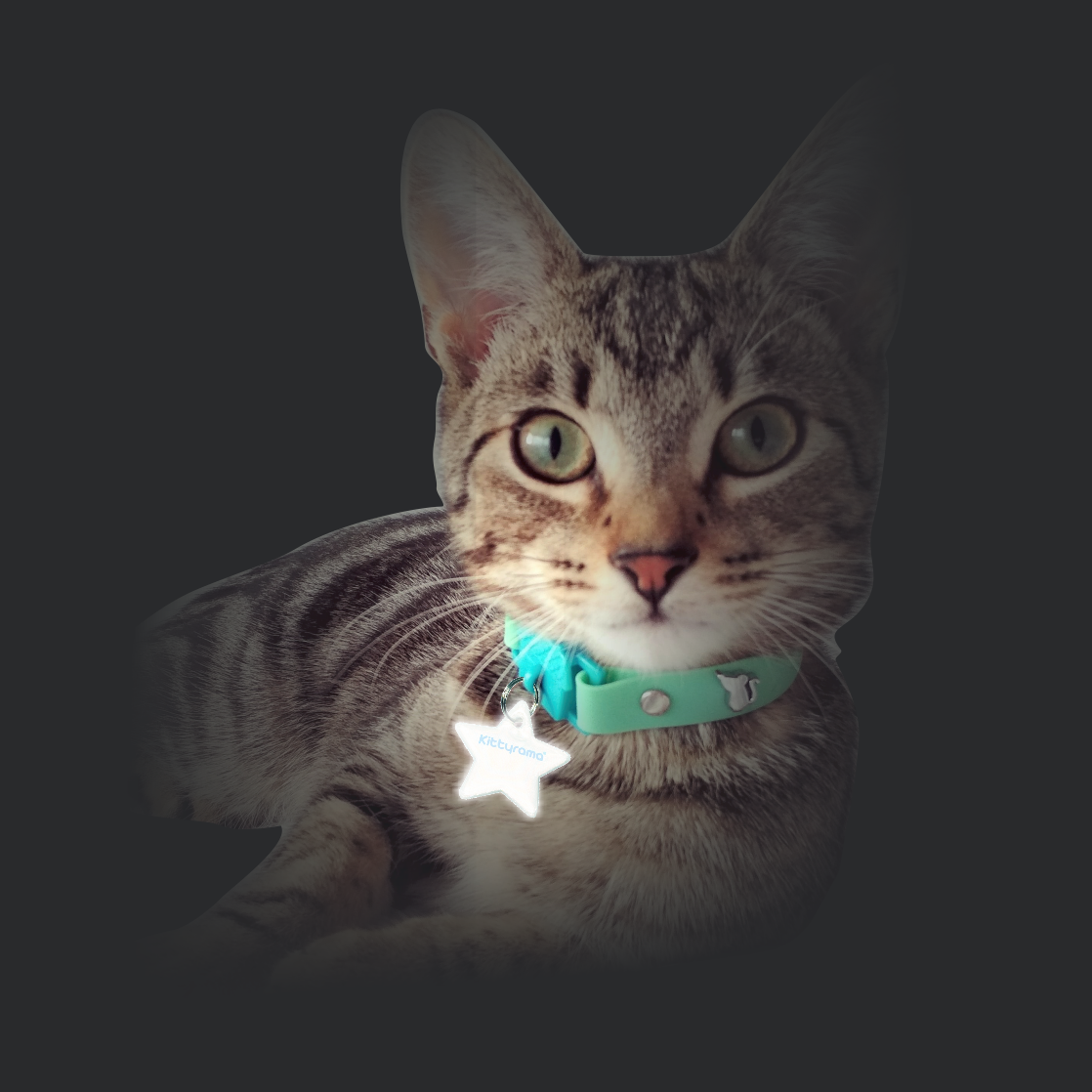 Kittyrama Reflective Star Charm. Safety Cat Tag