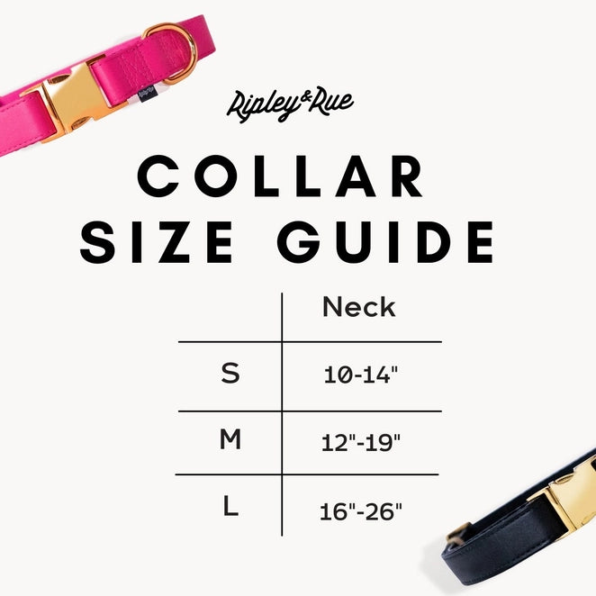 Riot Grwl Vegan Collar