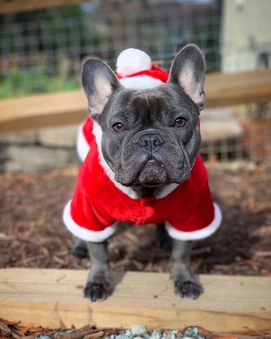Santa Hoodie