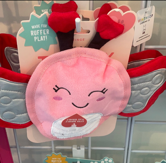 Fly My Way Dog Toy