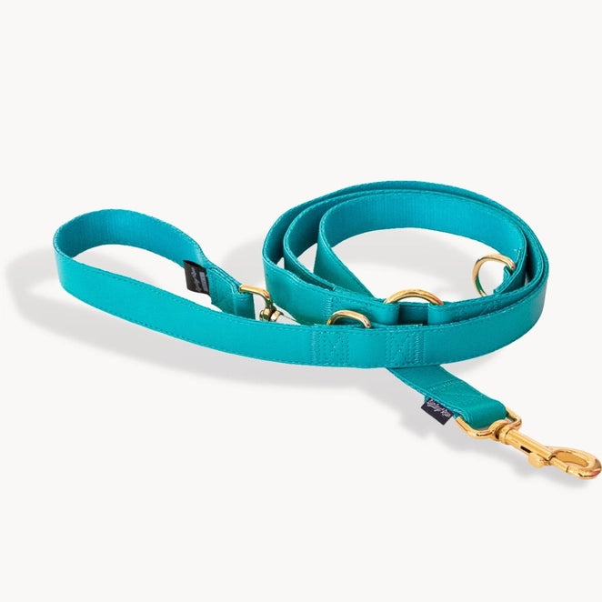 Riot Grwl Vegan Leash