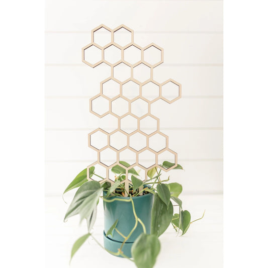 18.5 Honeycomb Plant Trellis