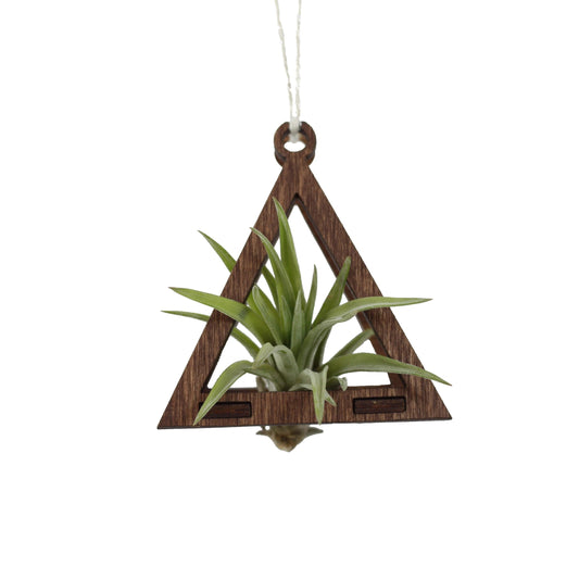 Triangle Air Plant Hanger